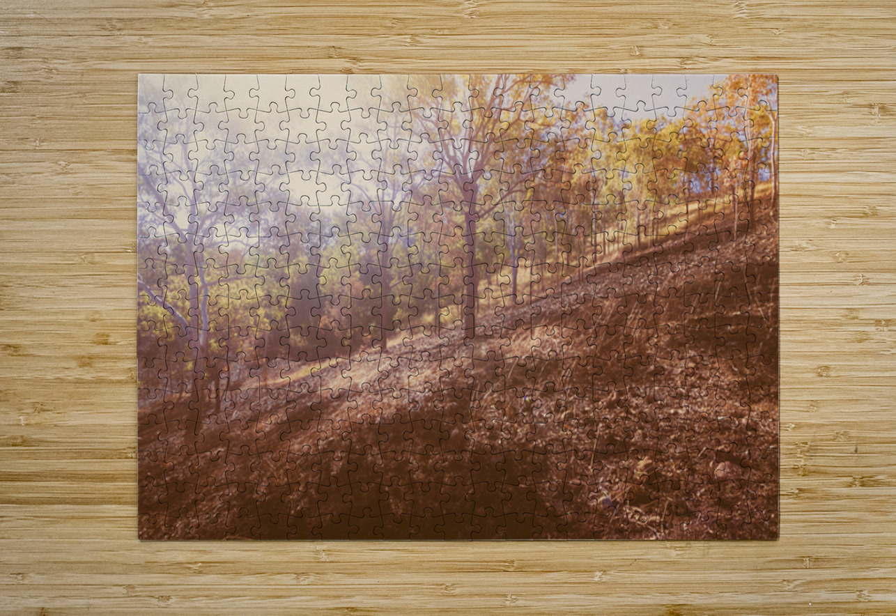 The Warmth Jorgo Puzzle printing