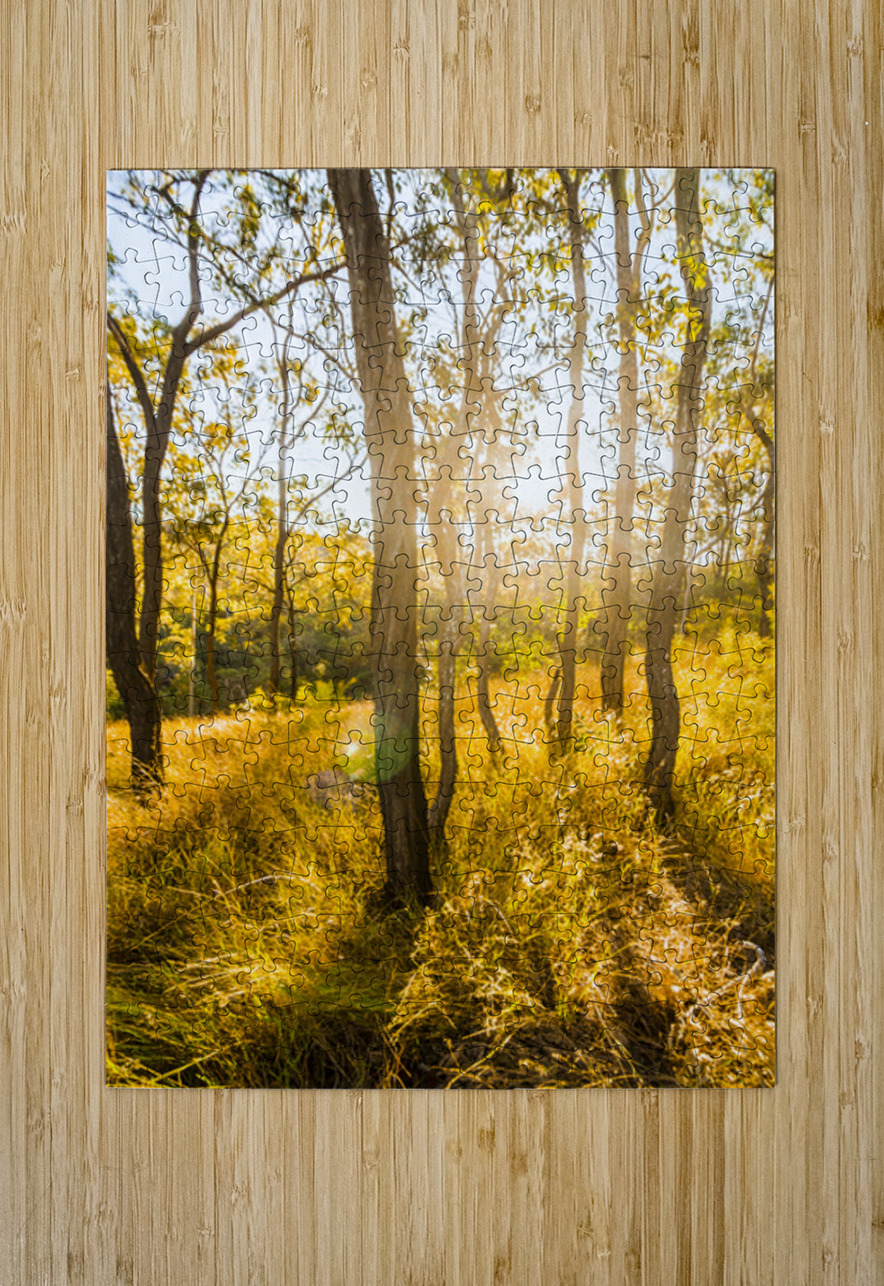 Wooded Light Jorgo Puzzle printing