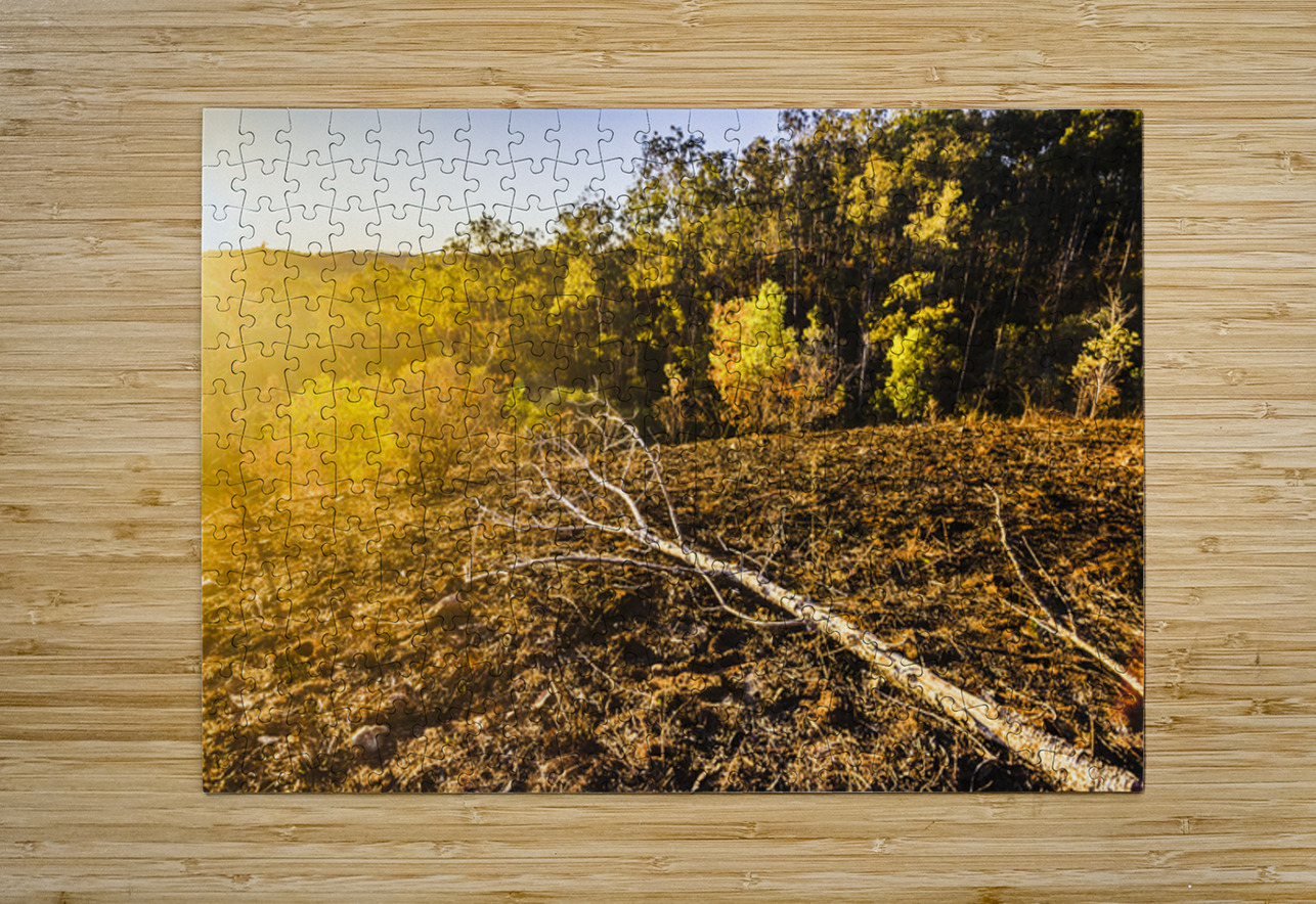 Awash In Sundown Jorgo Puzzle printing