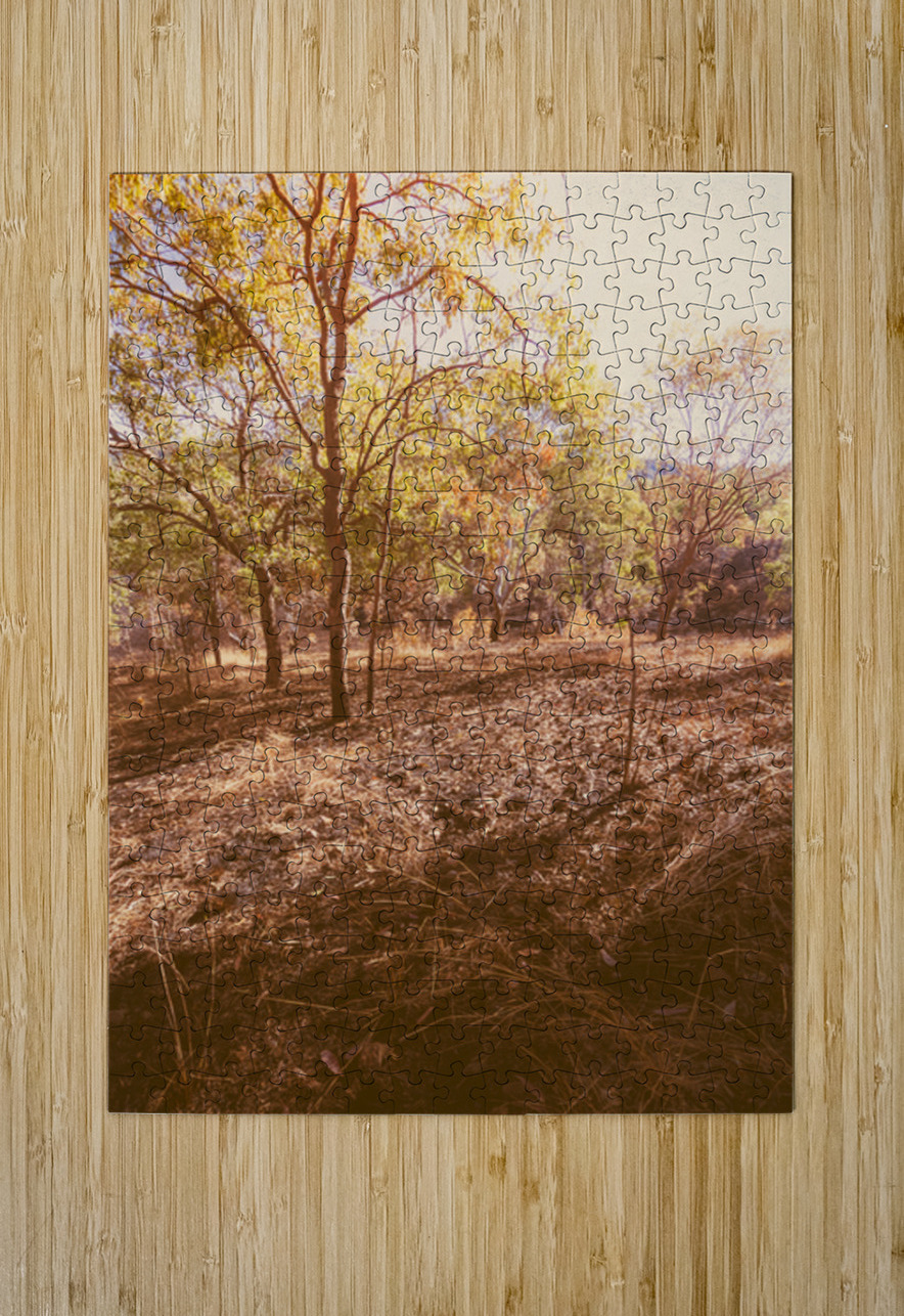 Afternoons Afterglow Jorgo Puzzle printing