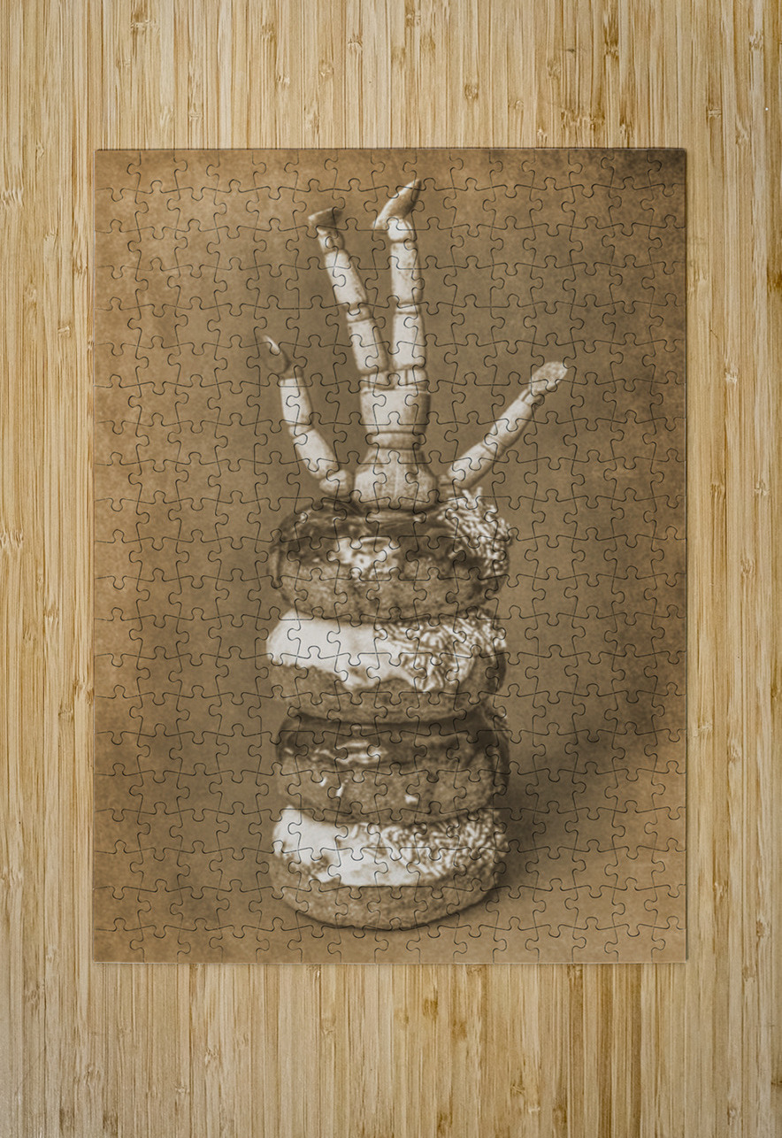 Dough Nutter Jorgo Puzzle printing