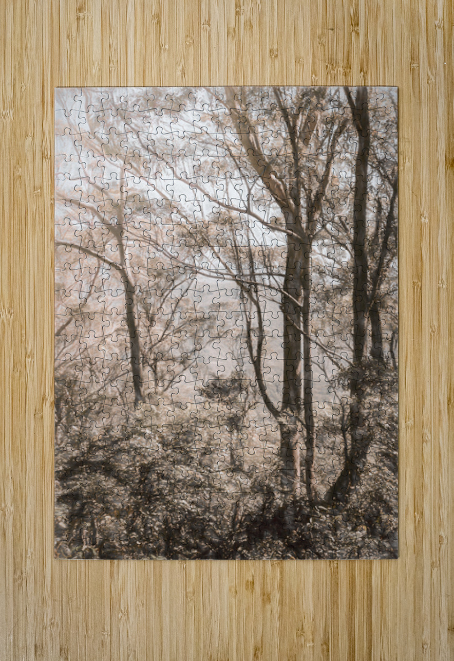 Calm Subtleties Jorgo Puzzle printing