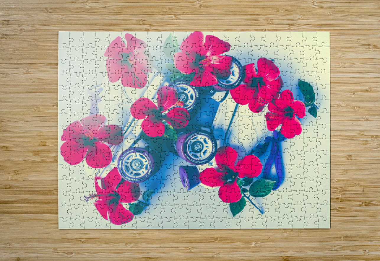 Summer Roll Jorgo Puzzle printing