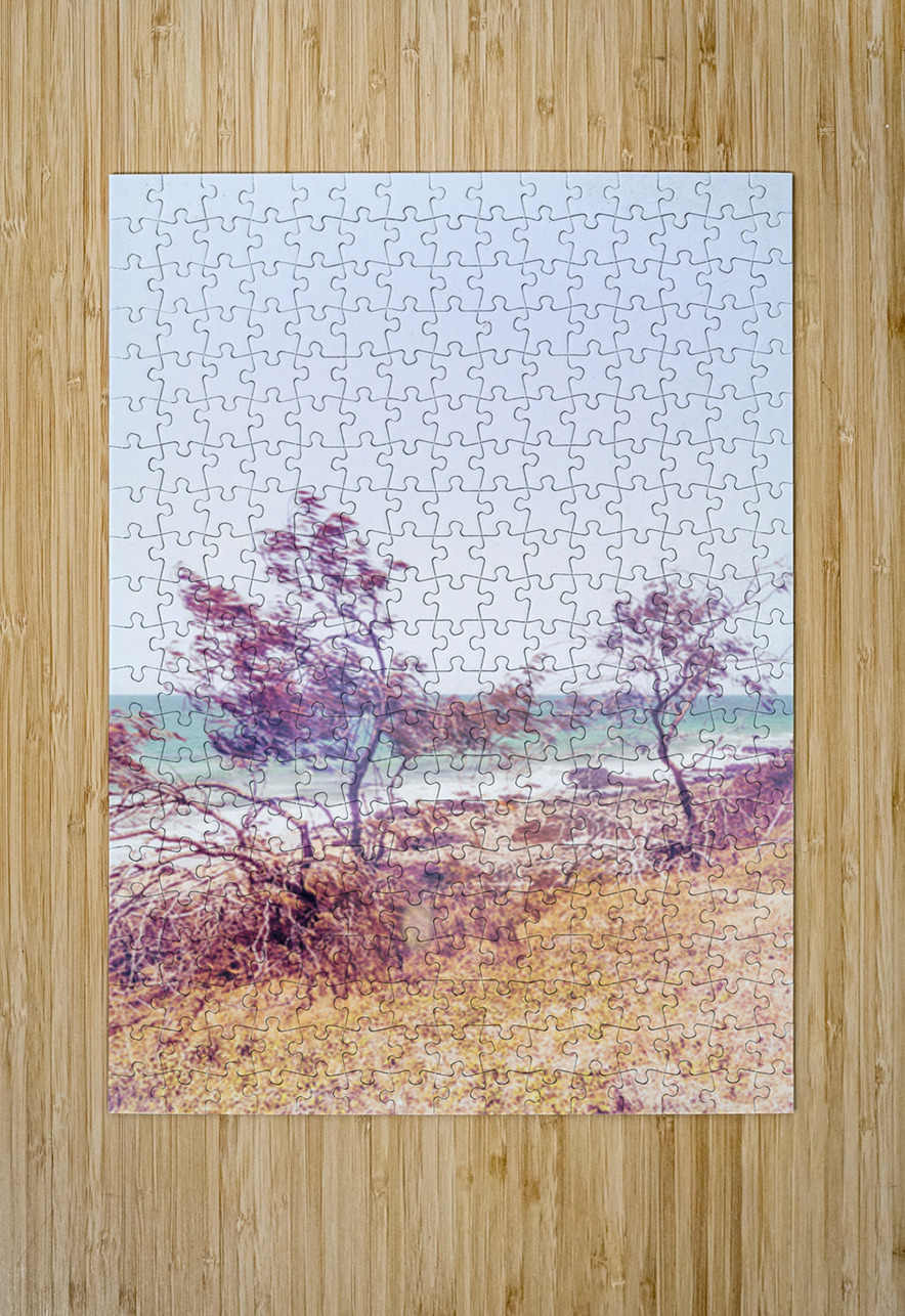 Awash in Retro Jorgo Puzzle printing