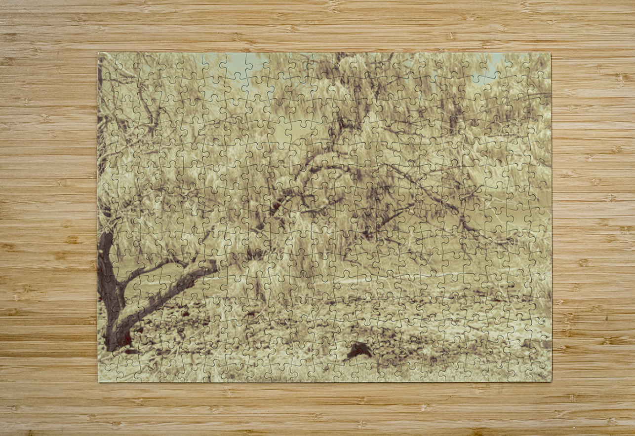 Casuarina Antiquity Jorgo Puzzle printing