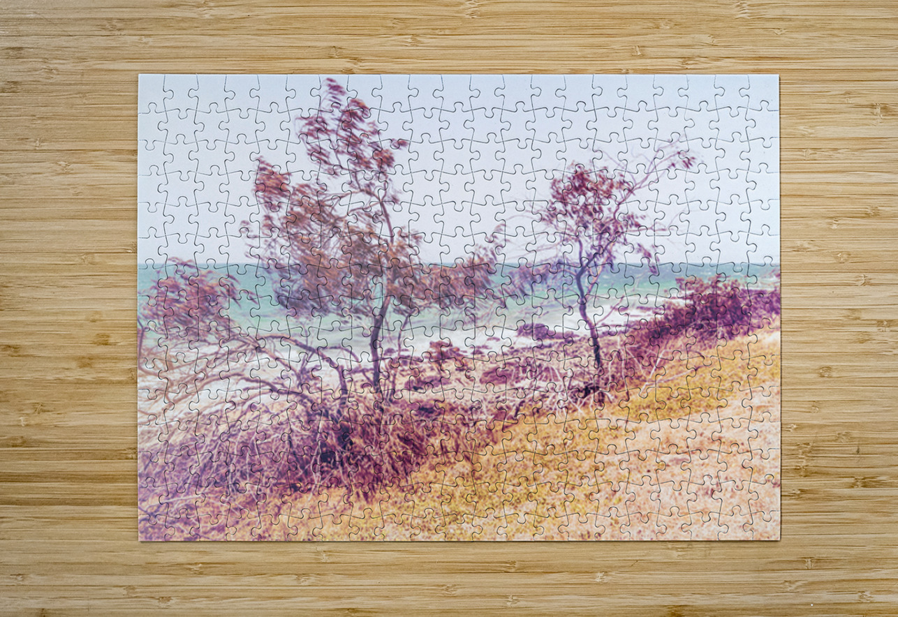 Breezy Coastal Retroism Jorgo Puzzle printing