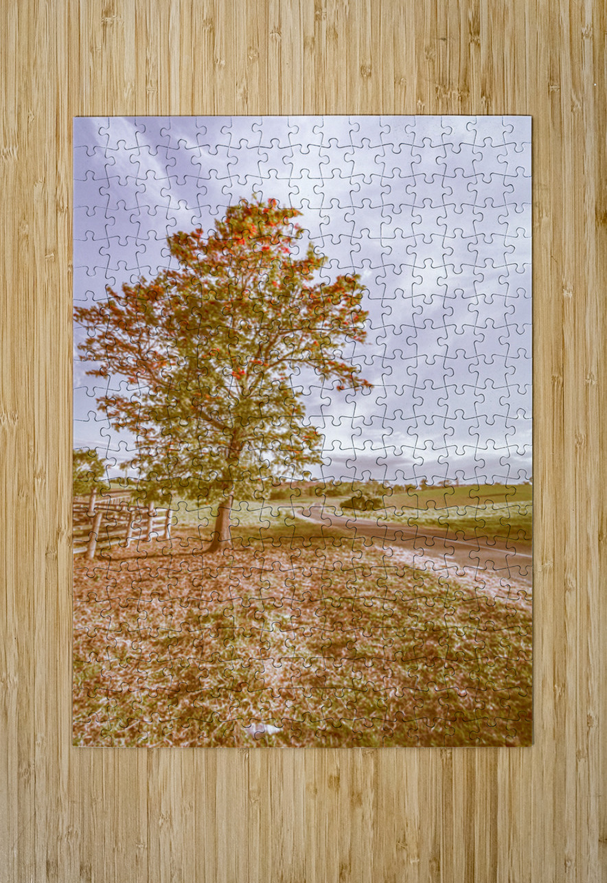 Golden Wattle Lane Jorgo Puzzle printing