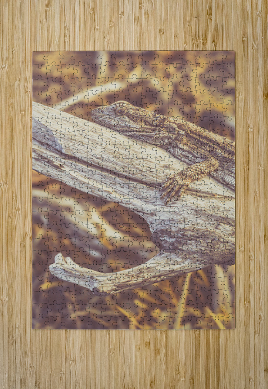 Outback Afternoons Jorgo Puzzle printing