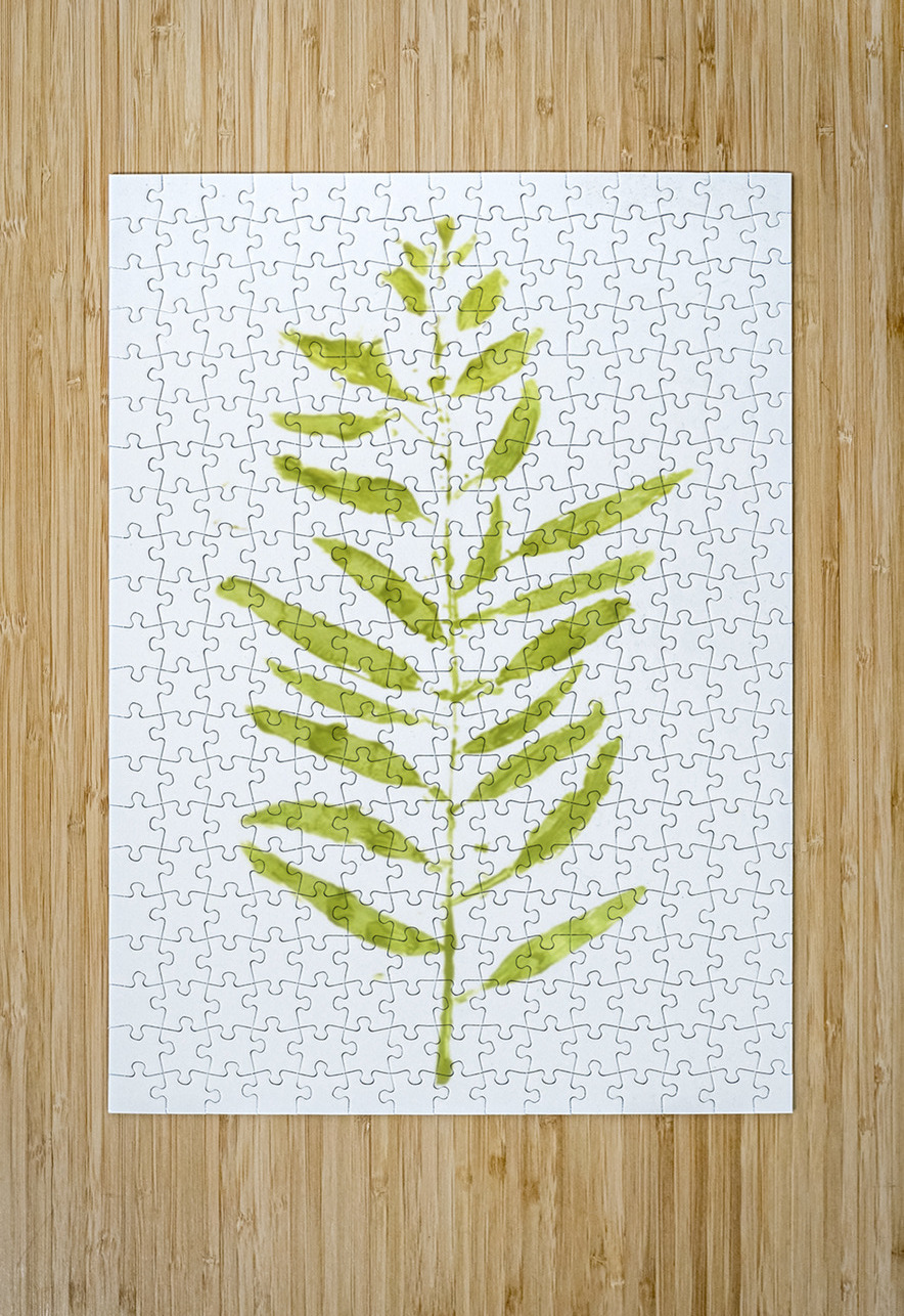 Painted Gum Jorgo Puzzle printing