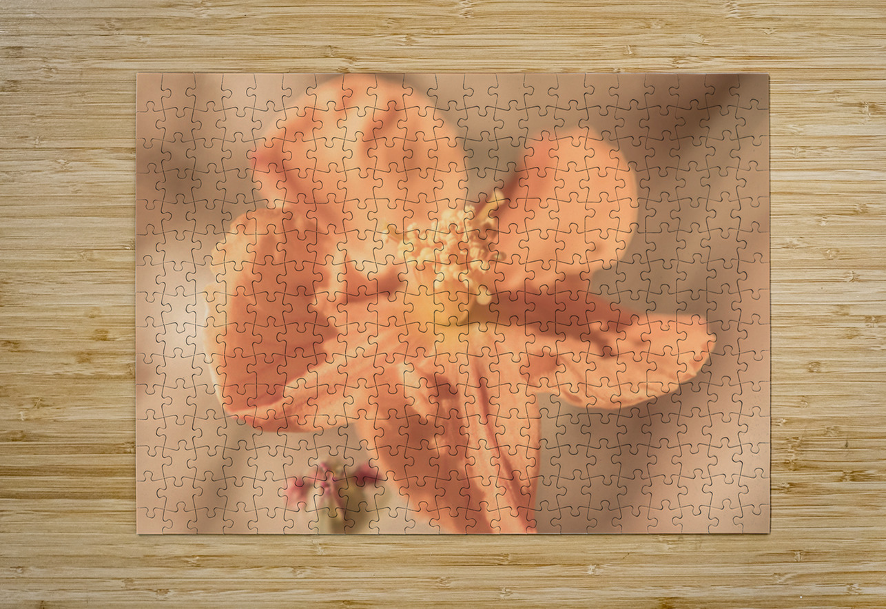 Softness And Serenity Jorgo Puzzle printing