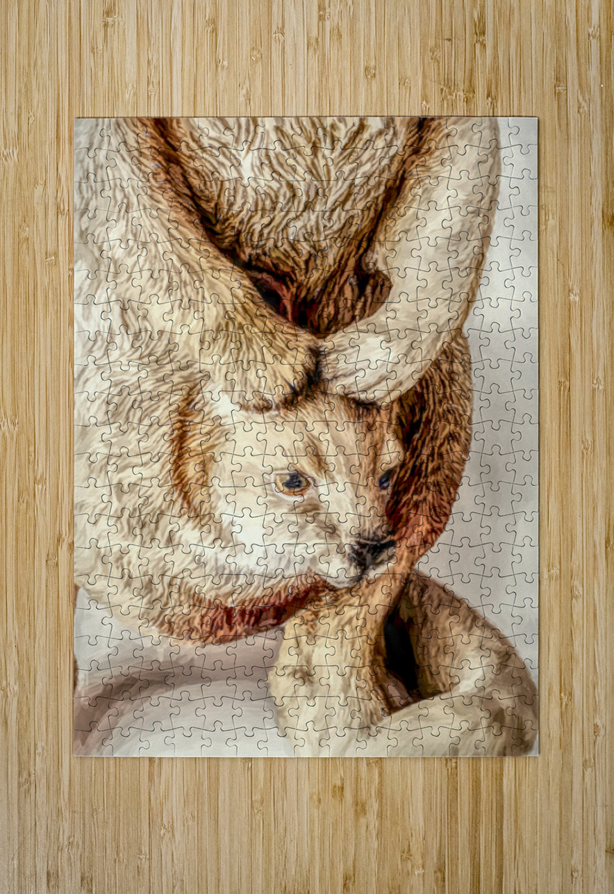 Rustic Country Calm Jorgo Puzzle printing