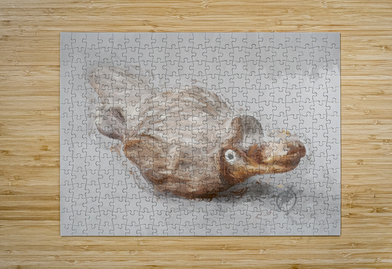 Playful Platypus Jorgo Puzzle printing
