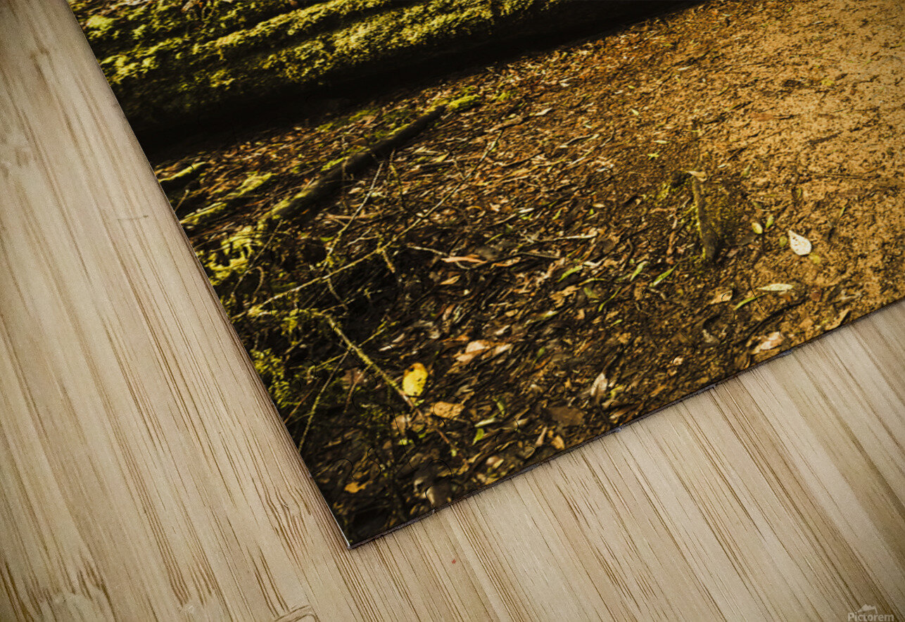 Tourist Hiking Mount Field Tasmania  Jorgo Puzzle