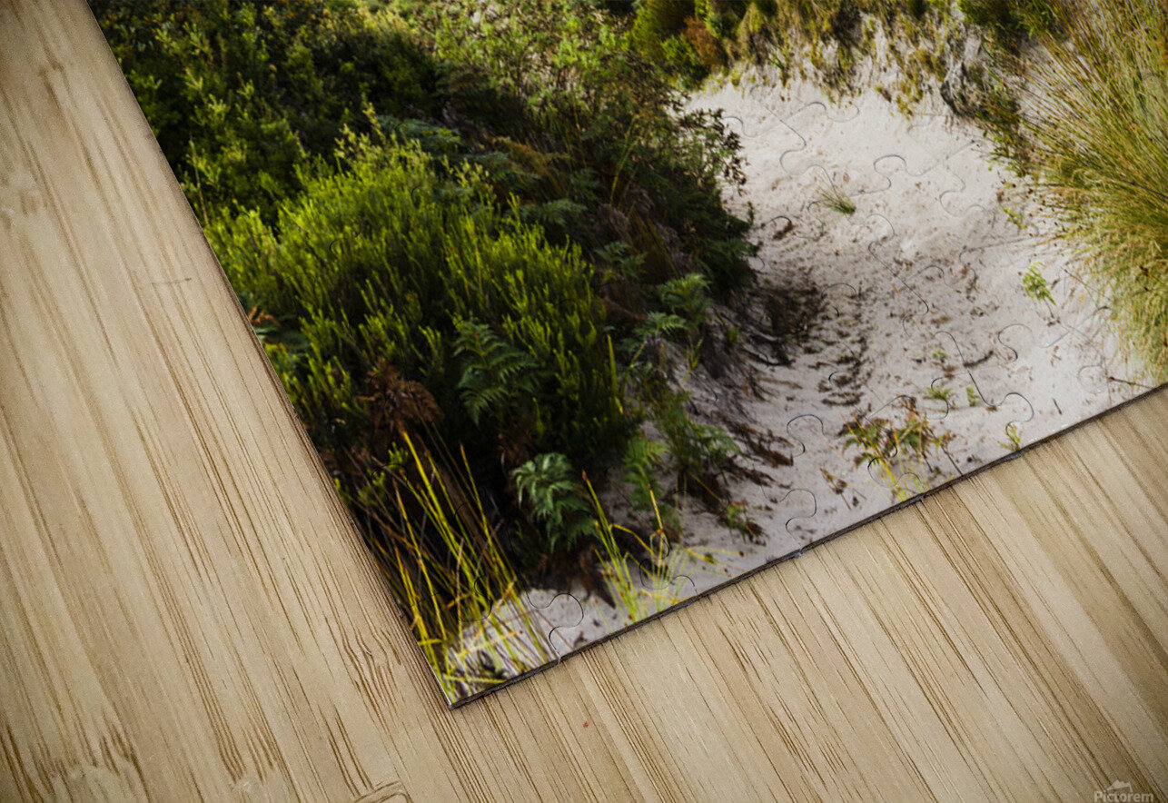 Sand dune path leading to Tasmania beach landscape Jorgo Puzzle