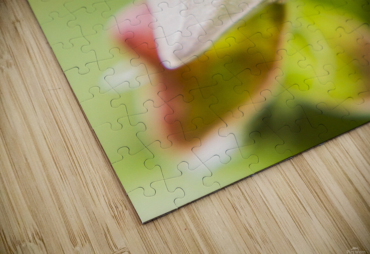 Beetle botanics Jorgo Puzzle