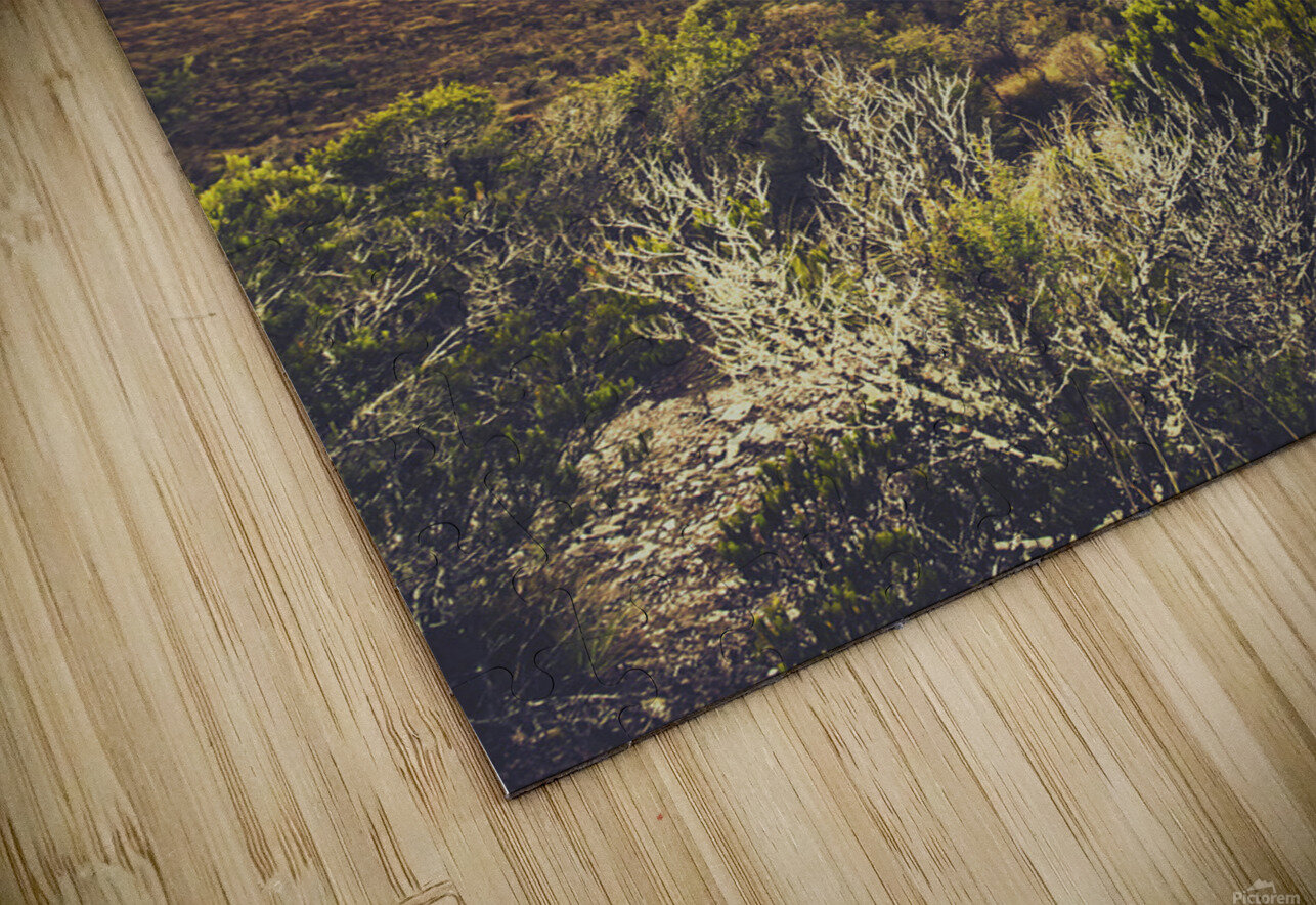 Retro scenic wilderness Jorgo Puzzle