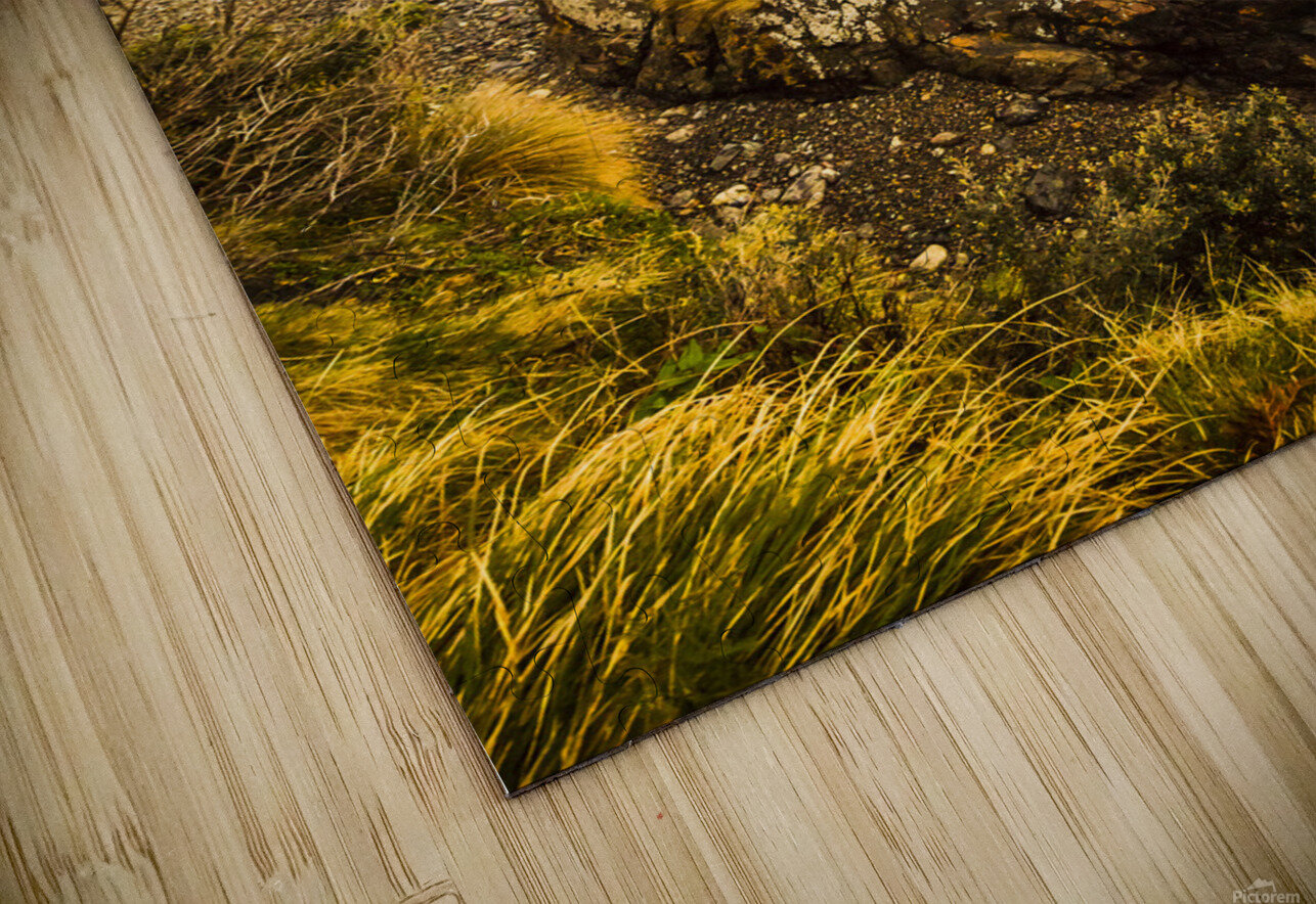 Storm season Jorgo Puzzle