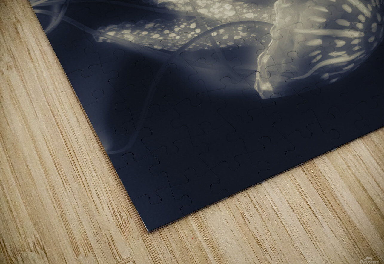 Tonical Entangle Jorgo Puzzle