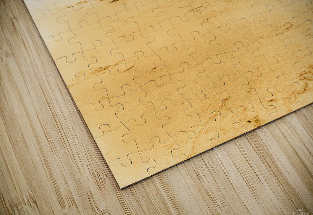 Summer surf scenes Jorgo Puzzle