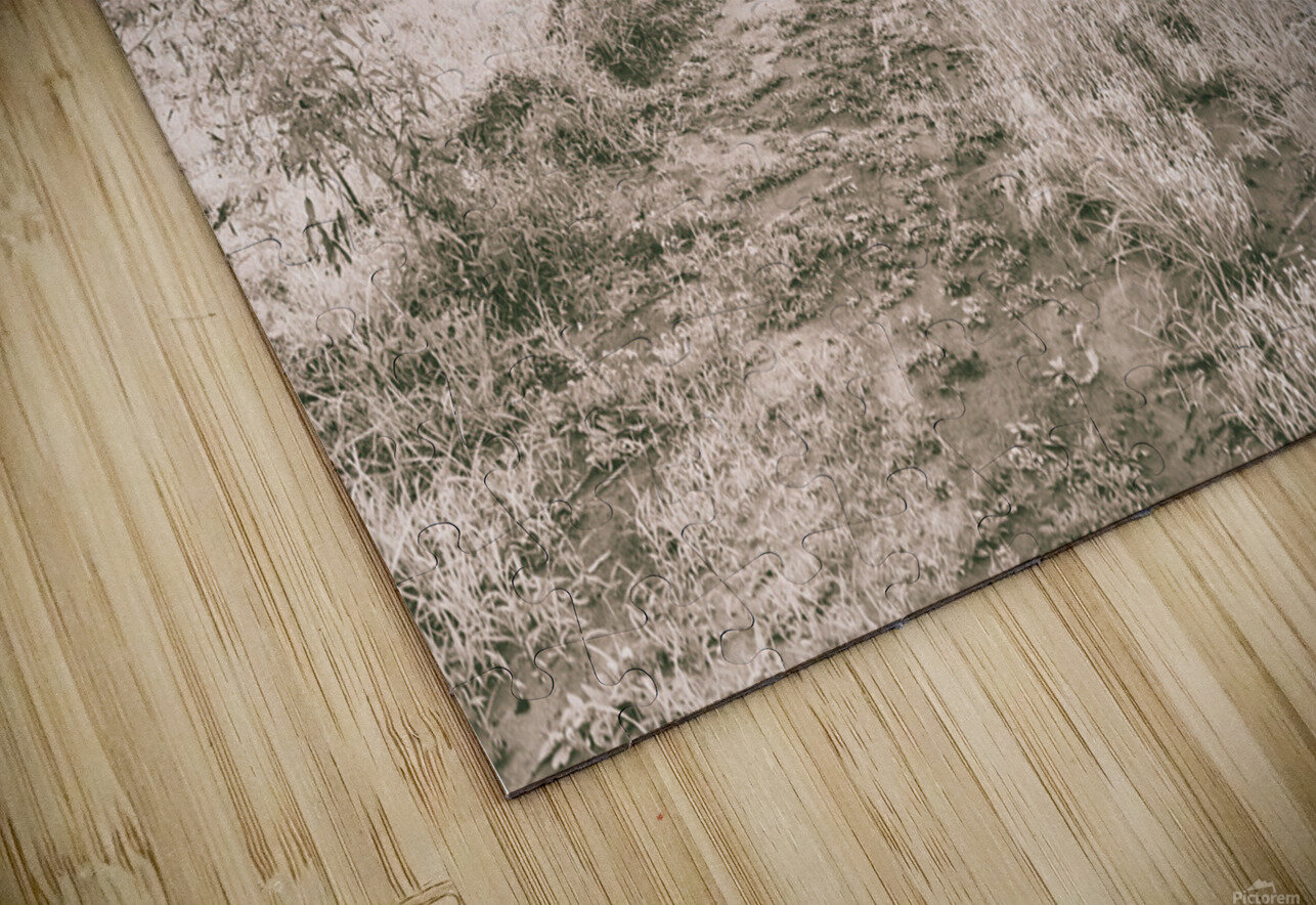 Way beyond outback Jorgo Puzzle