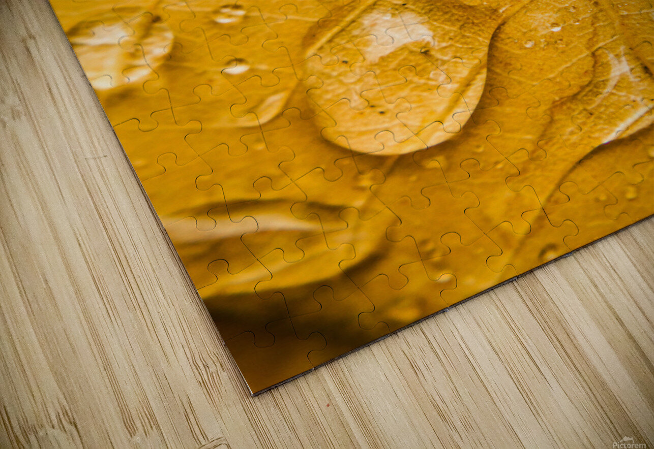 Leafy tropics Jorgo Puzzle