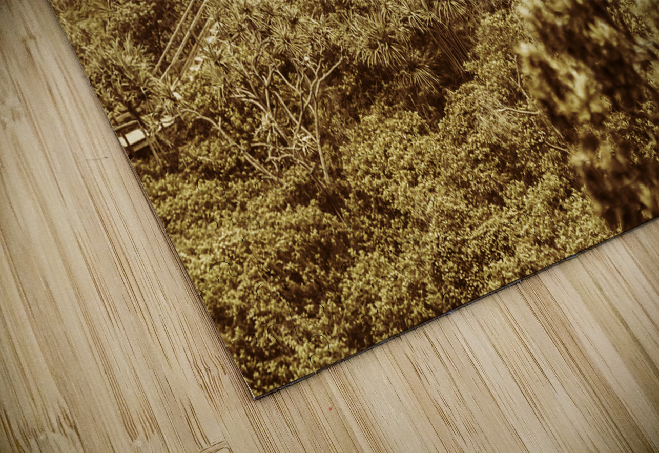 Woodland walk Jorgo Puzzle