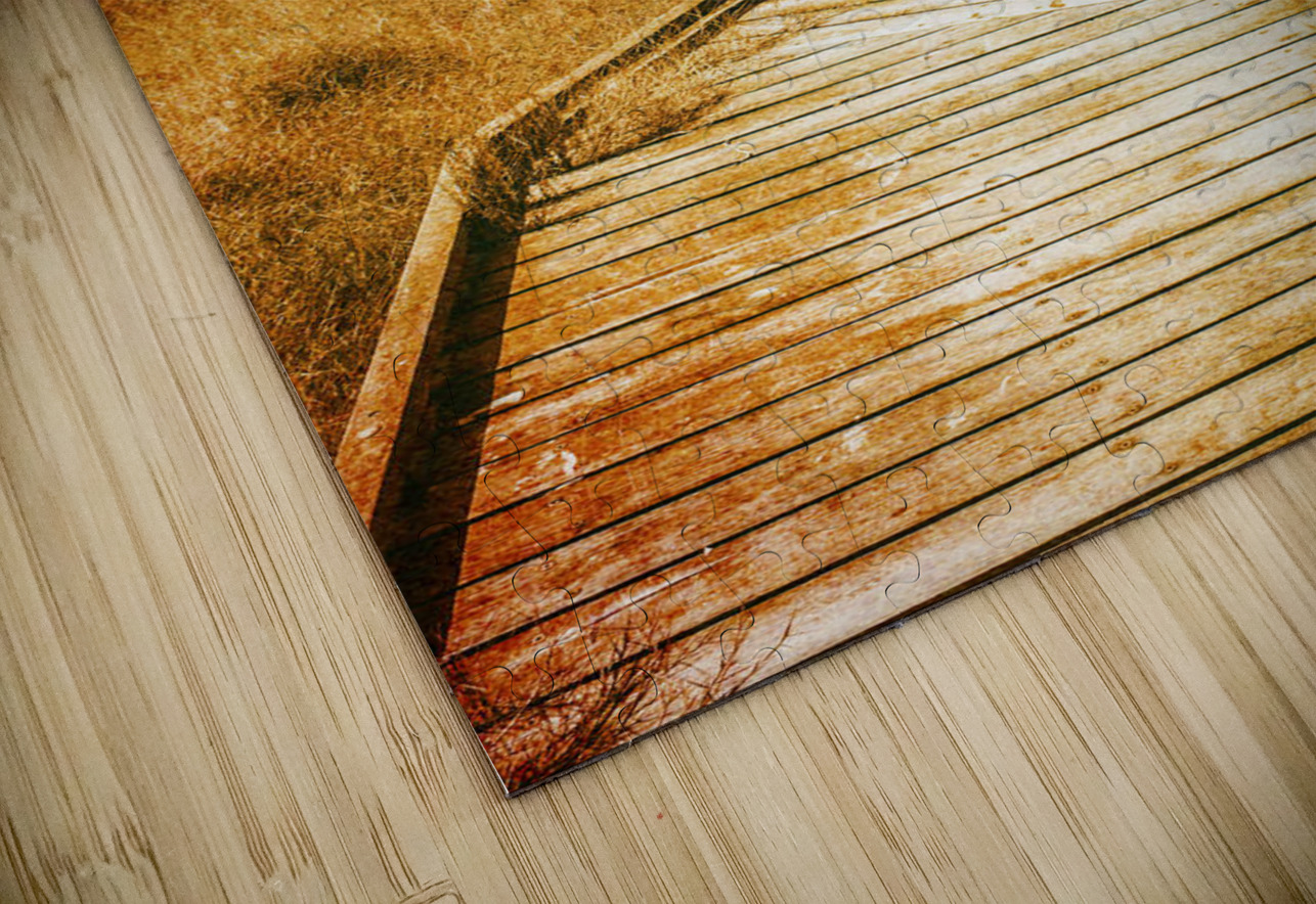 Path to autumn marshlands Jorgo Puzzle