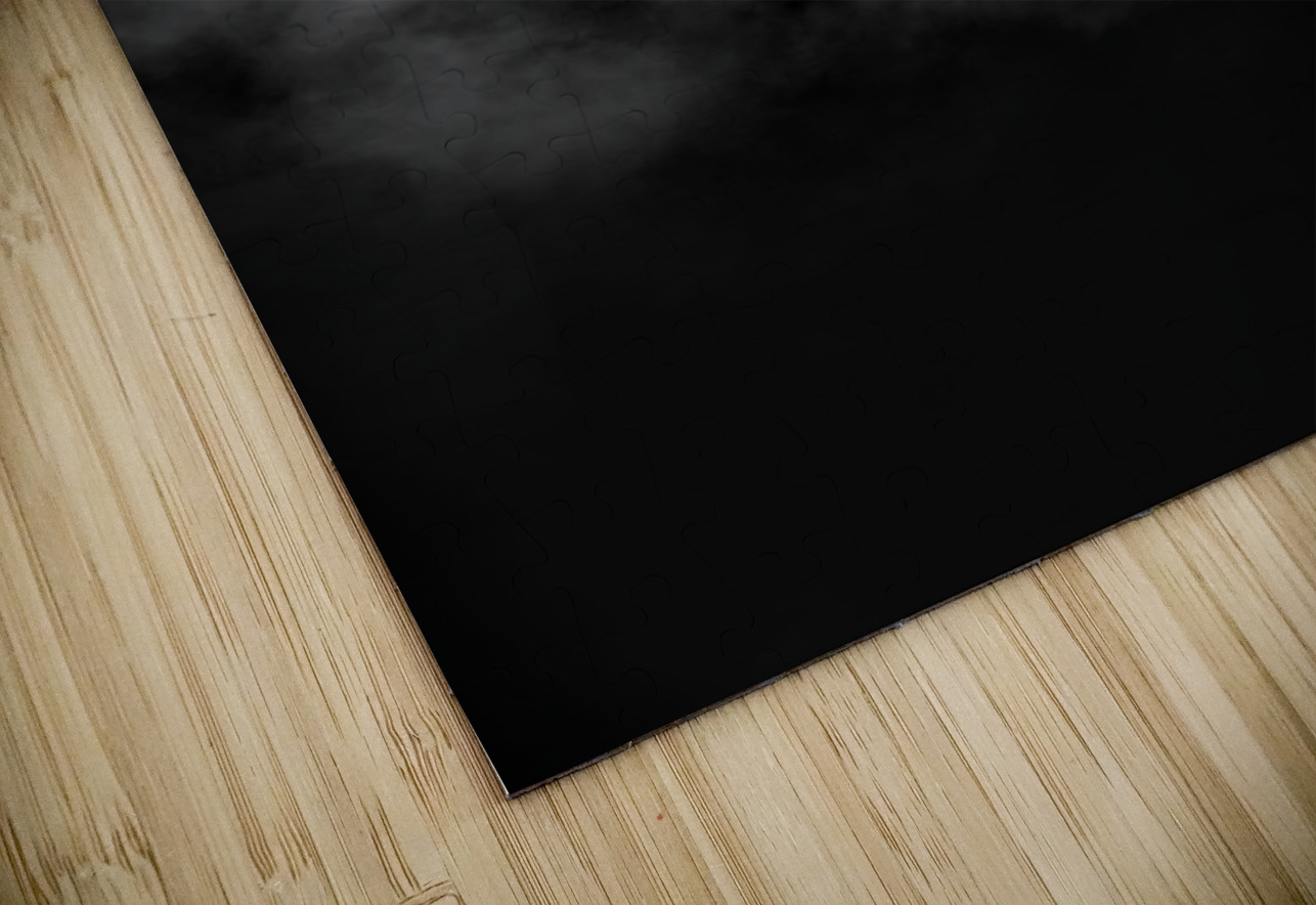 Fear Of The Fog Jorgo Puzzle