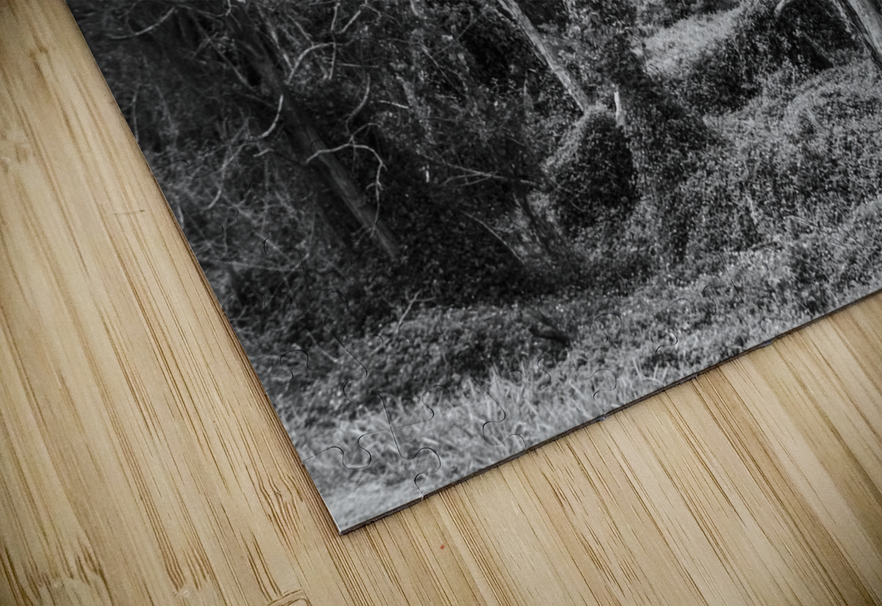 Wildering woods Jorgo Puzzle