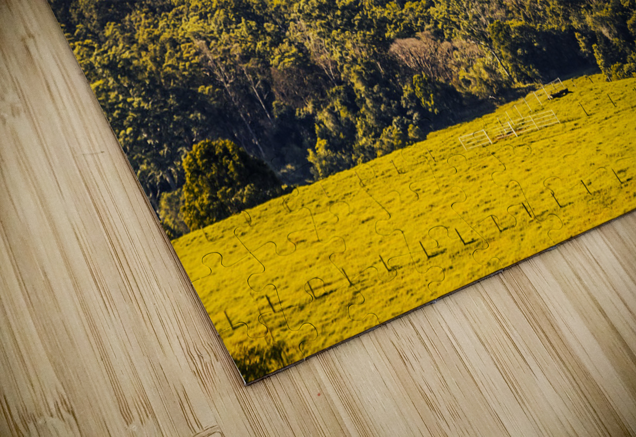 View to the Sunshine Coast Jorgo Puzzle