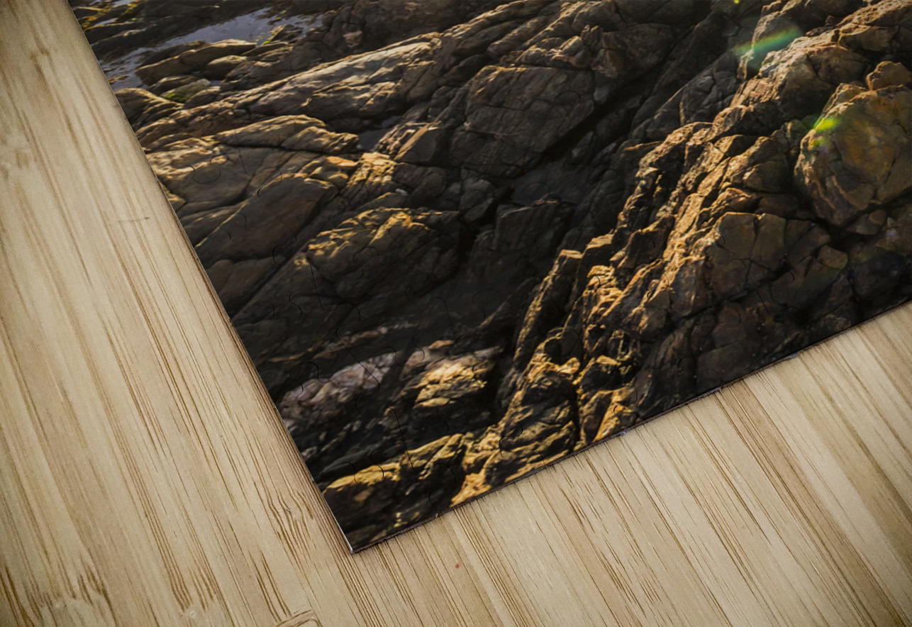 Shore rays Jorgo Puzzle