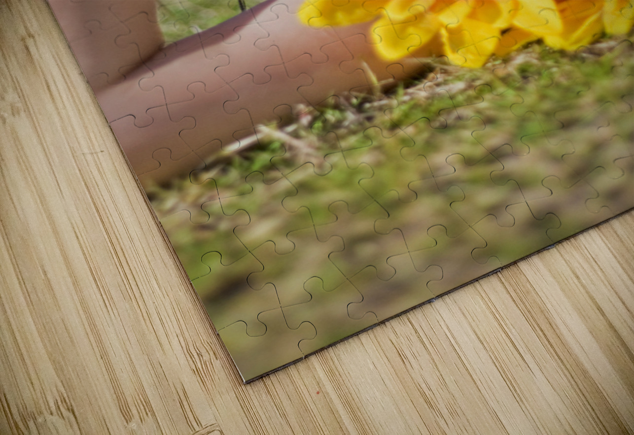 Taking Time To Smell The Flowers Jorgo Puzzle