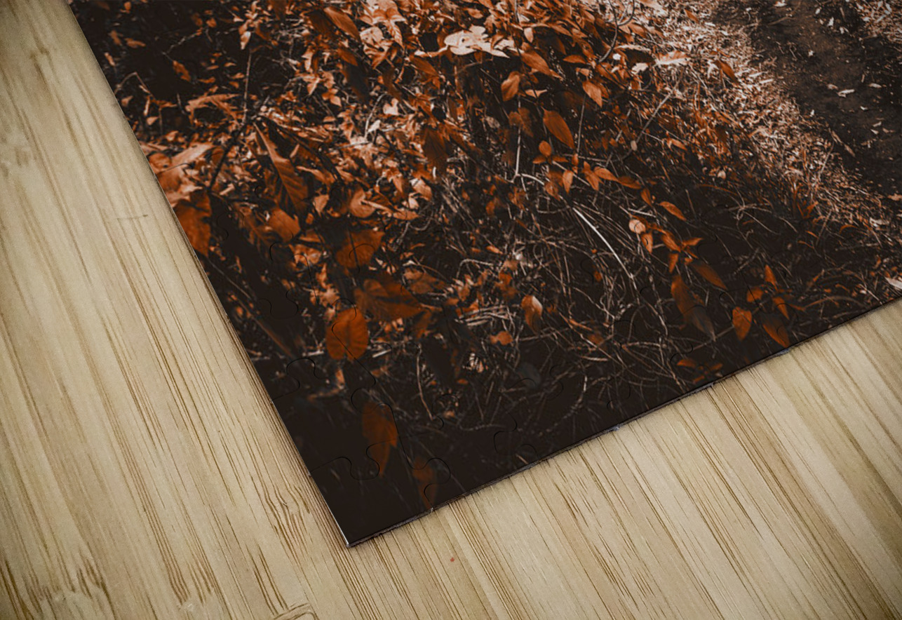 Wayback woods Jorgo Puzzle