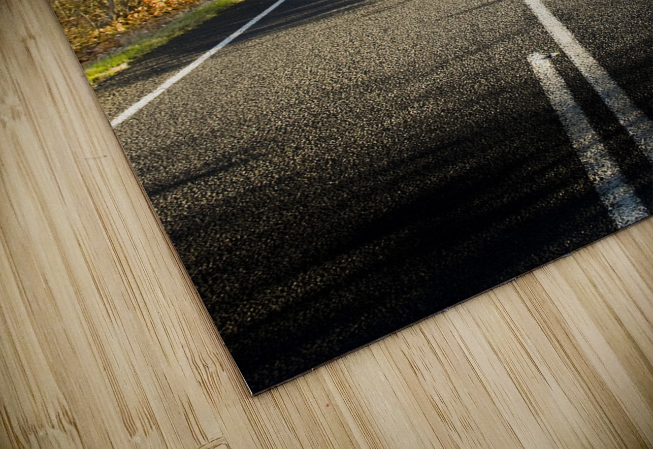 Autumn Drive Jorgo Puzzle