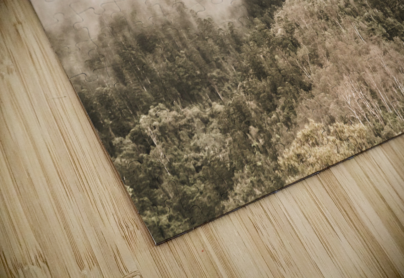 Elevated wonder Jorgo Puzzle