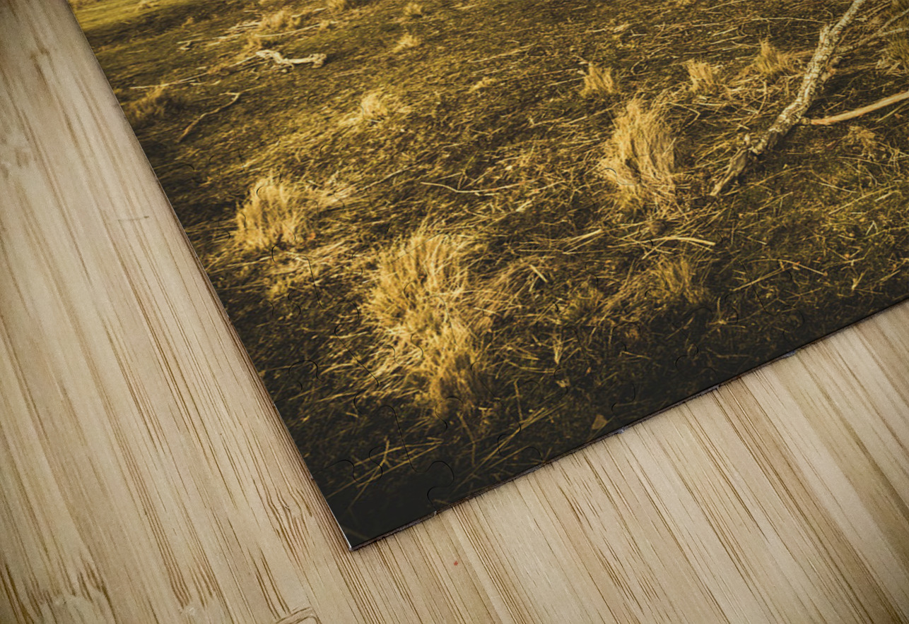 Dead tree in seasons bare Jorgo Puzzle