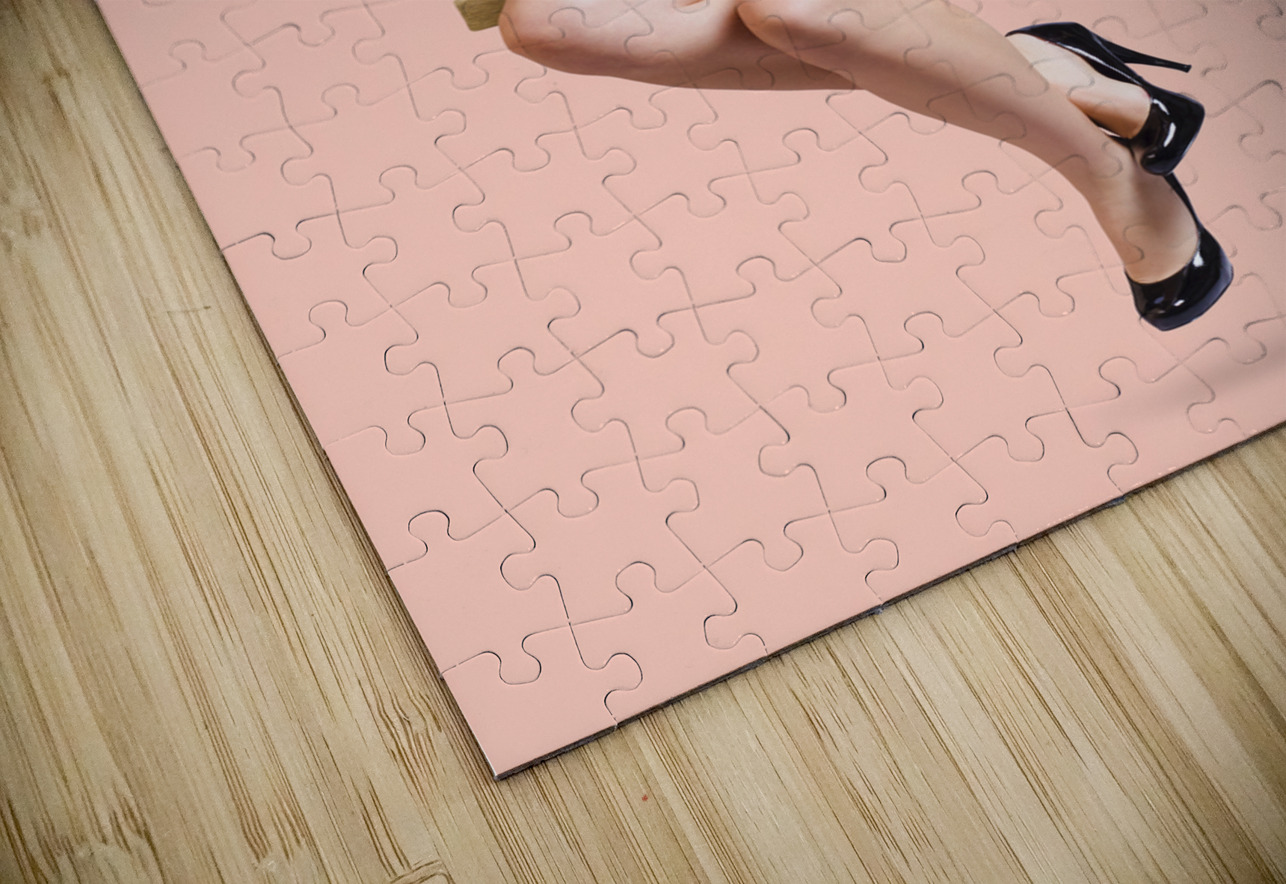 Beautiful fifties pin up girl smiling on swing Jorgo Puzzle