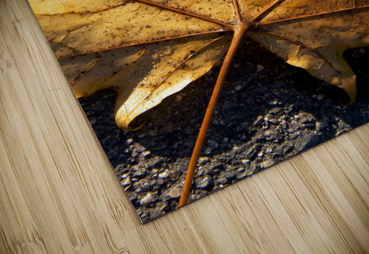 The Fall Of Autumn Jorgo Puzzle