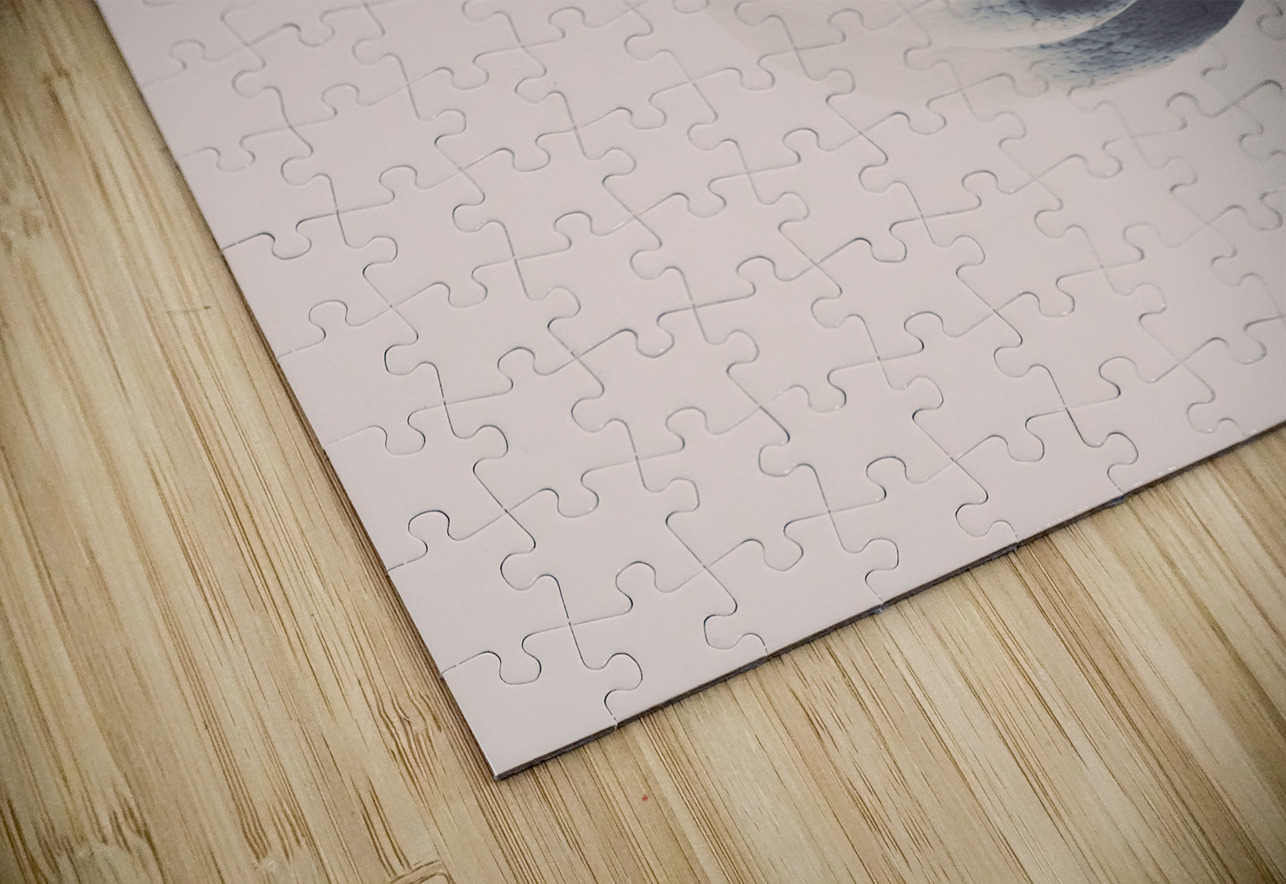 Memories beyond the mind Jorgo Puzzle