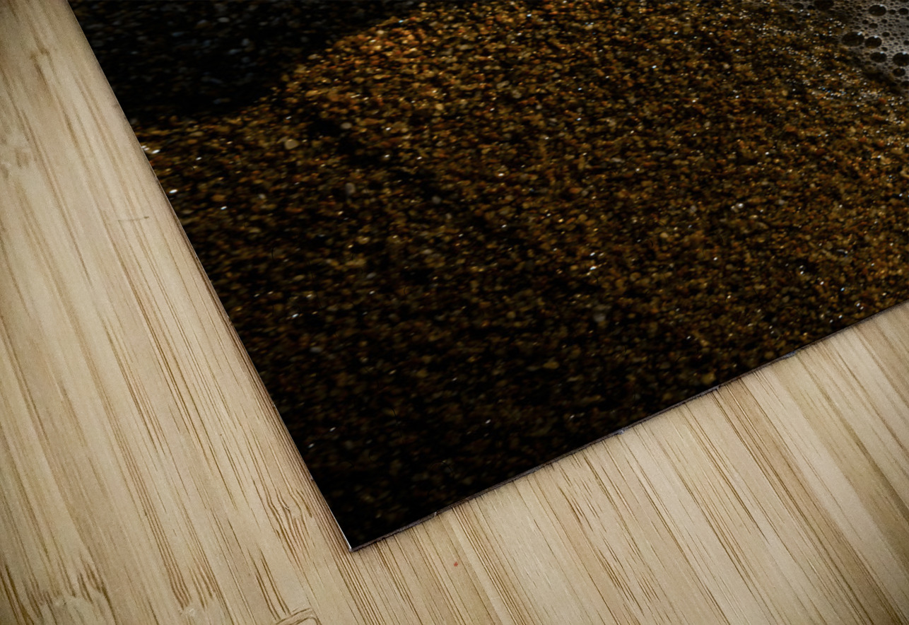 The tide and its takers Jorgo Puzzle