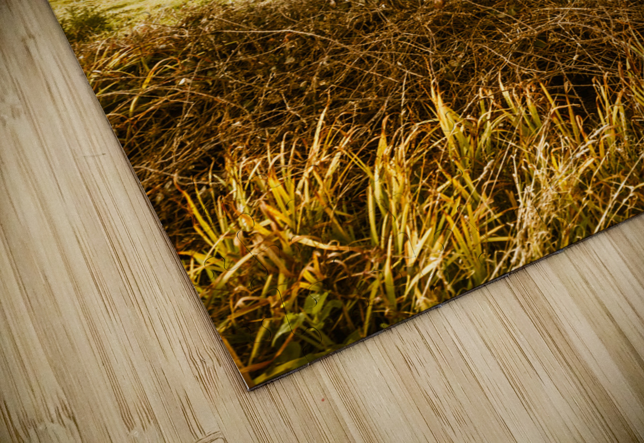 Cygnet rustic farming fields Jorgo Puzzle