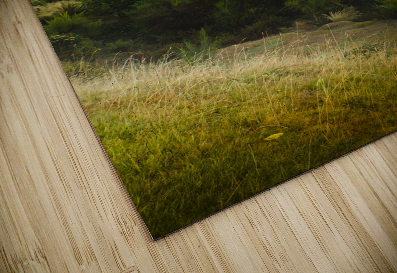 Waratah morning landscape of Mount Bischoff Valley Jorgo Puzzle