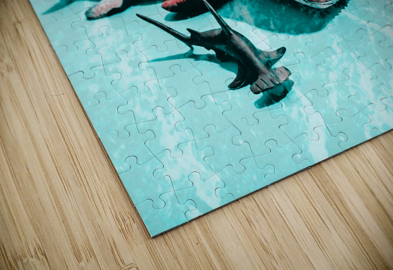 Underwater wilds Jorgo Puzzle