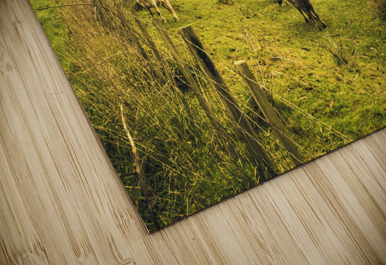 Colourful Australian cattle station Jorgo Puzzle