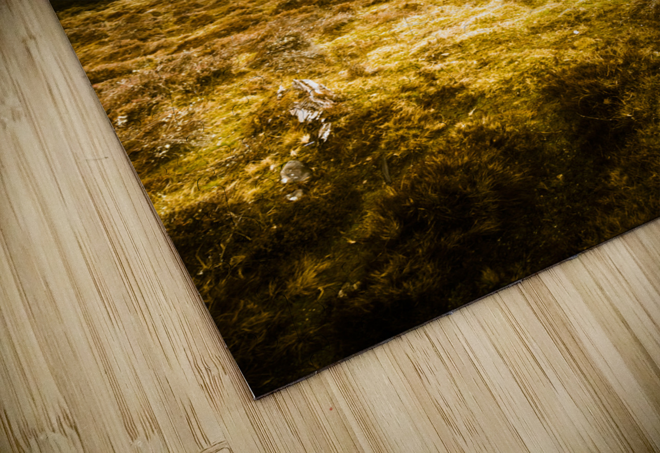 Beauty and barren bushland Jorgo Puzzle