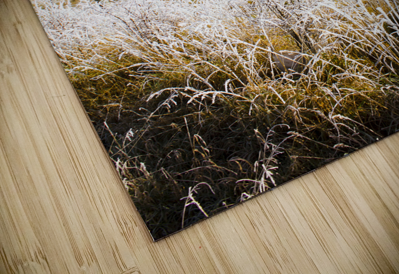 Fairytale winter in Fingal Jorgo Puzzle