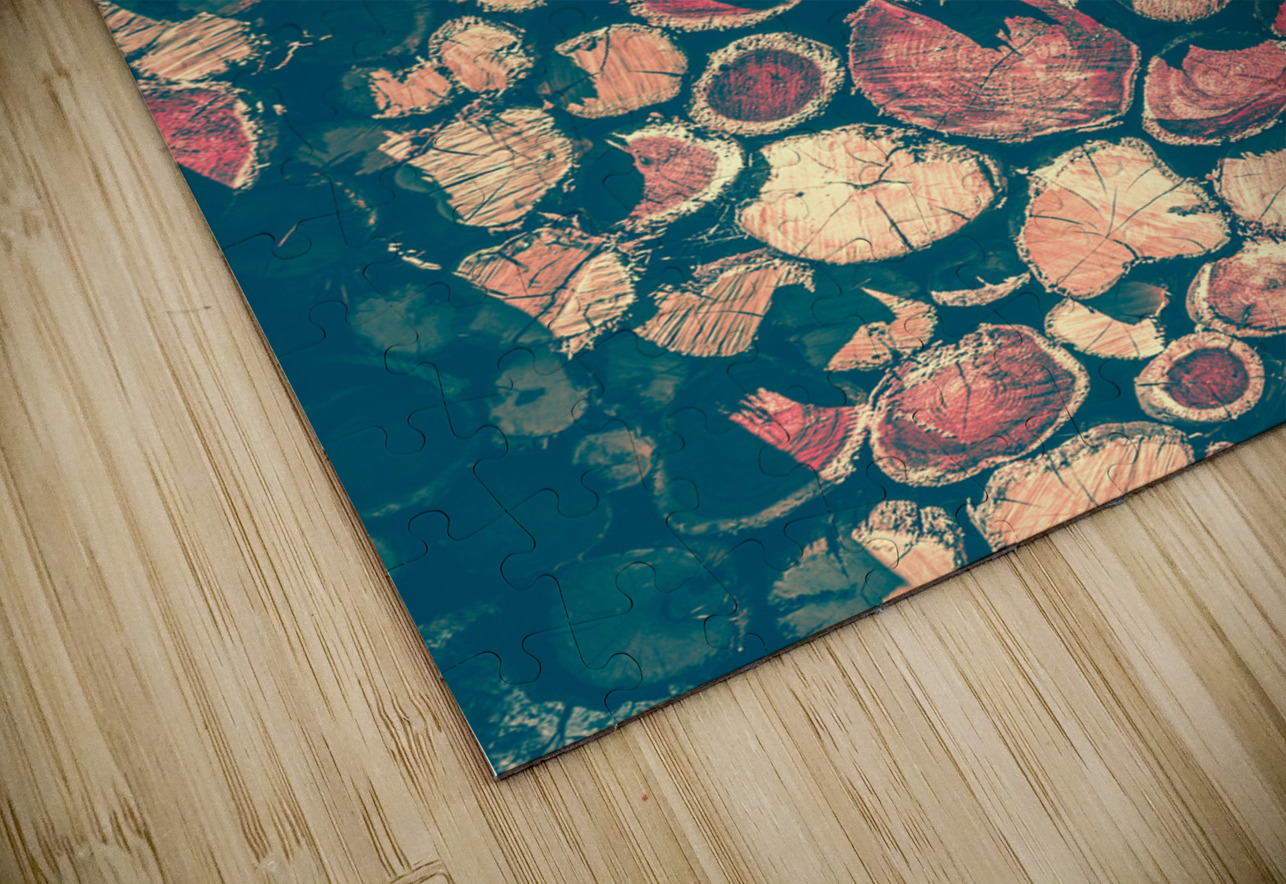 Backlog Jorgo Puzzle