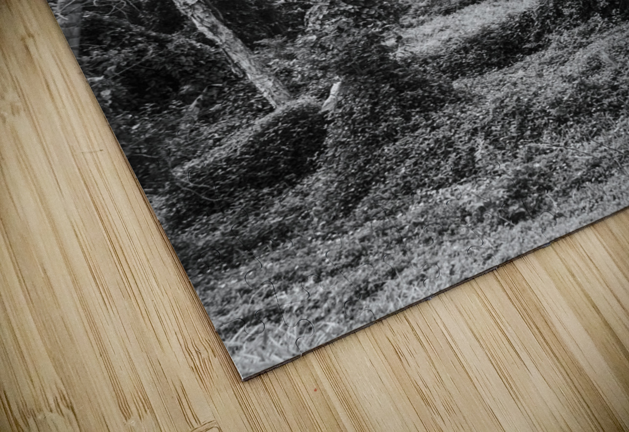 Vintage Outbacks Jorgo Puzzle