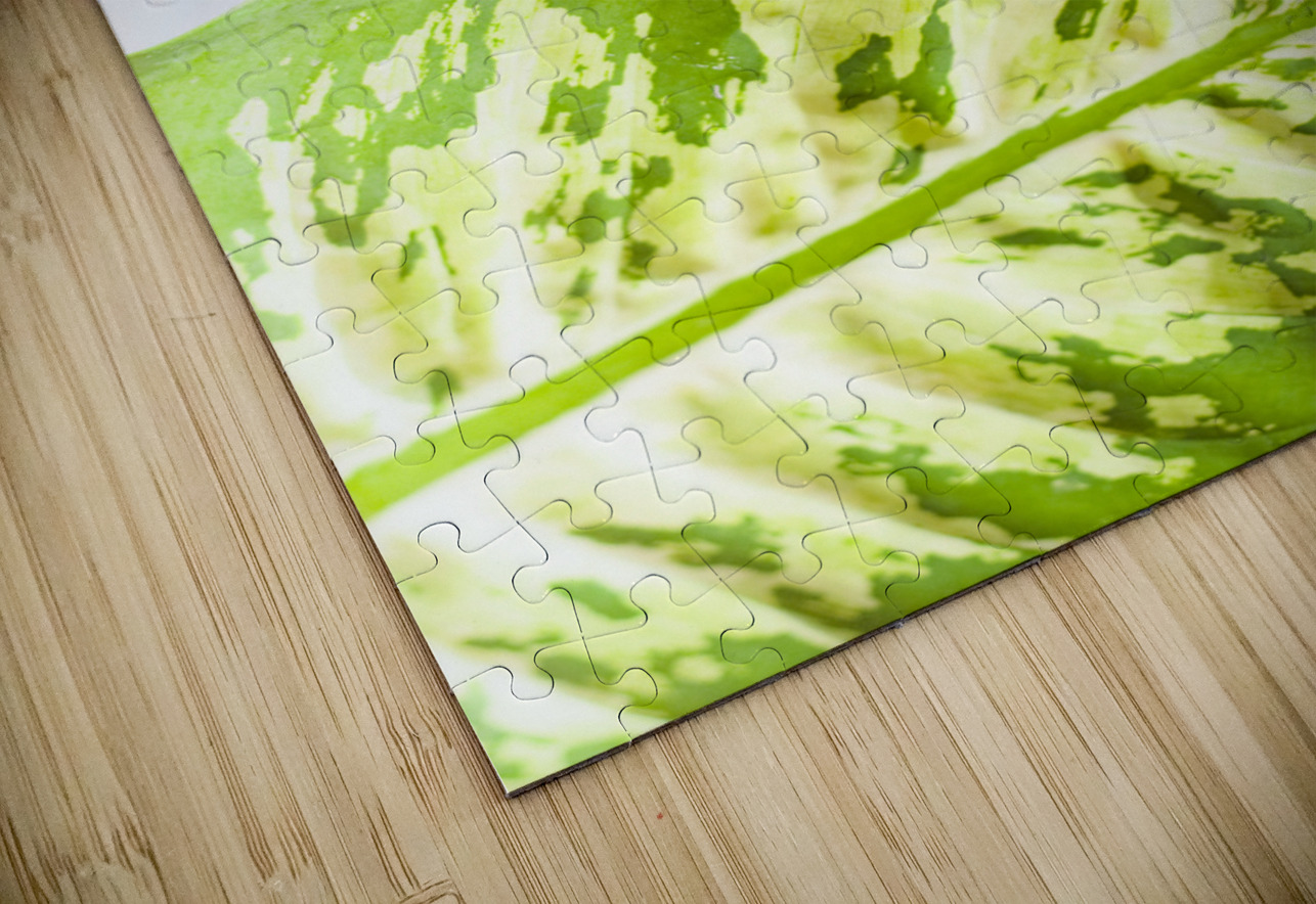 Wild By Nature Jorgo Puzzle