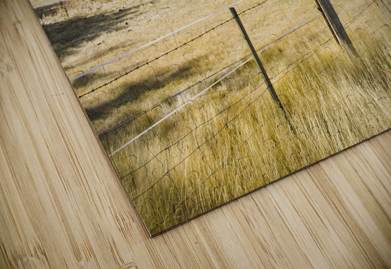 Man enjoying a rural farm landscape in Hobart Jorgo Puzzle